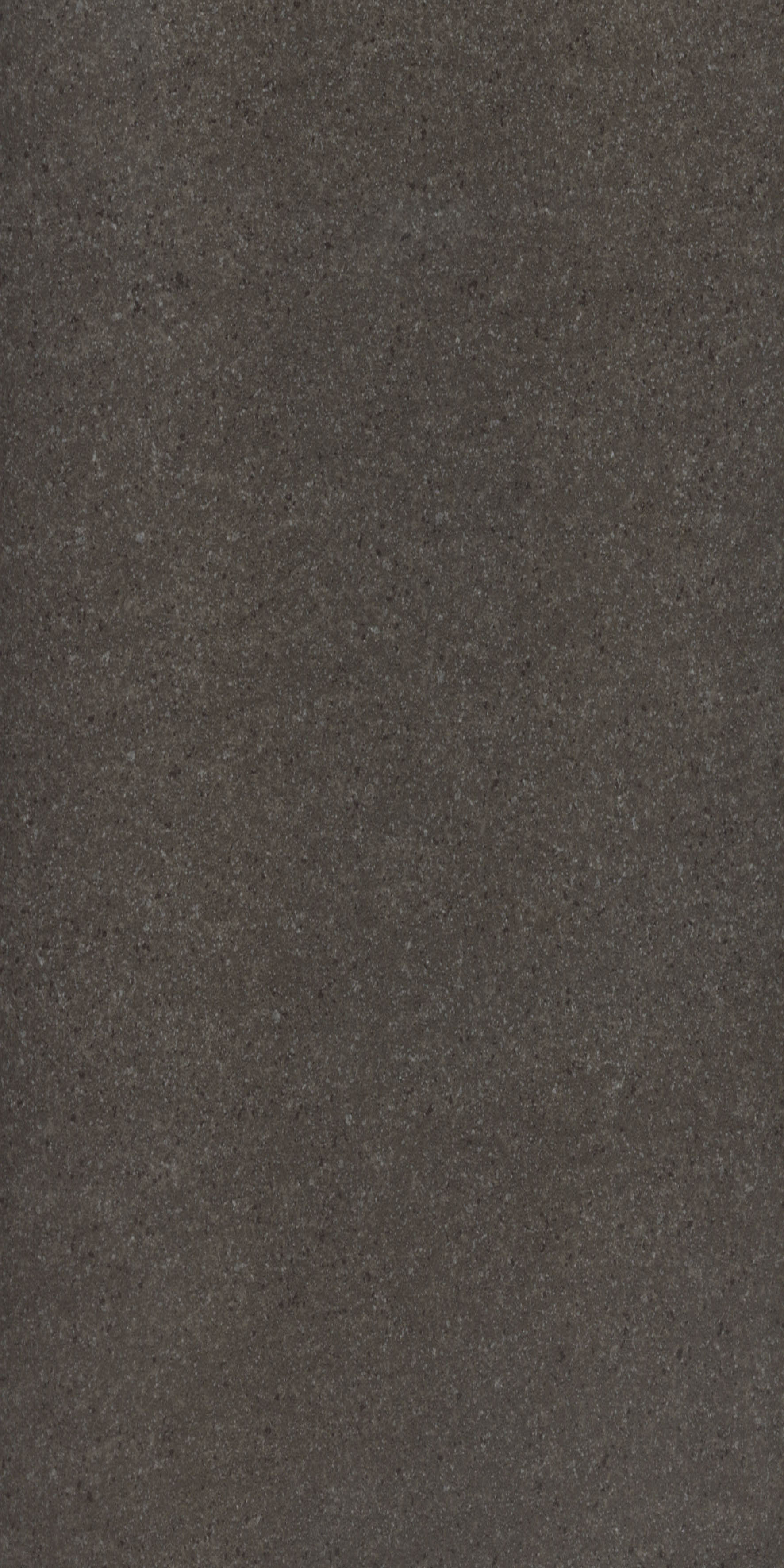 Belluno Mocha Lappato