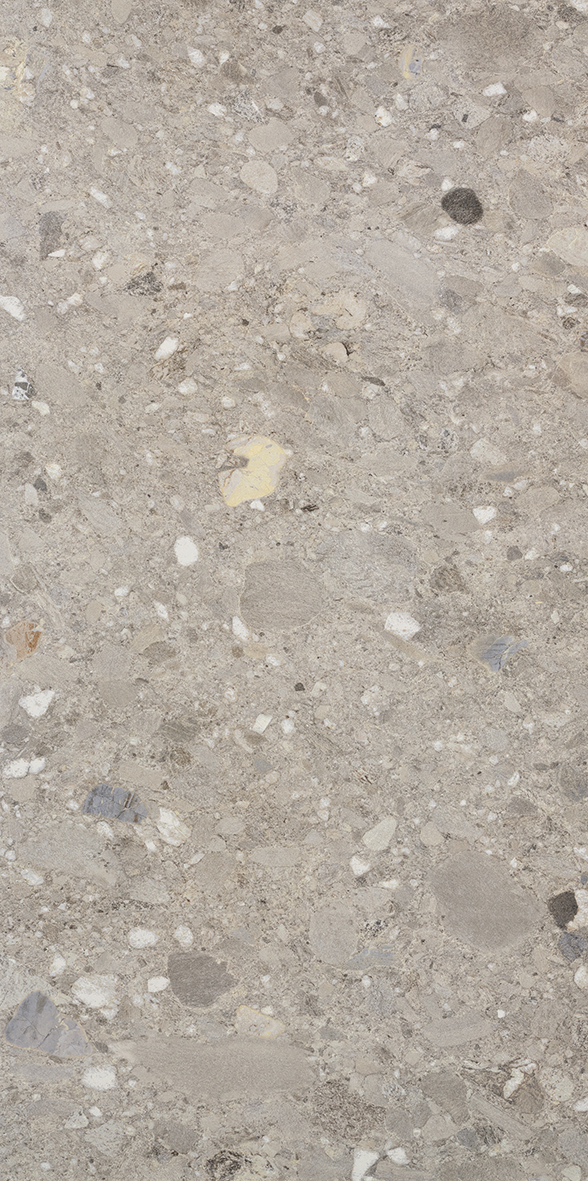 Ceppo Grigio Grey Matt P3
