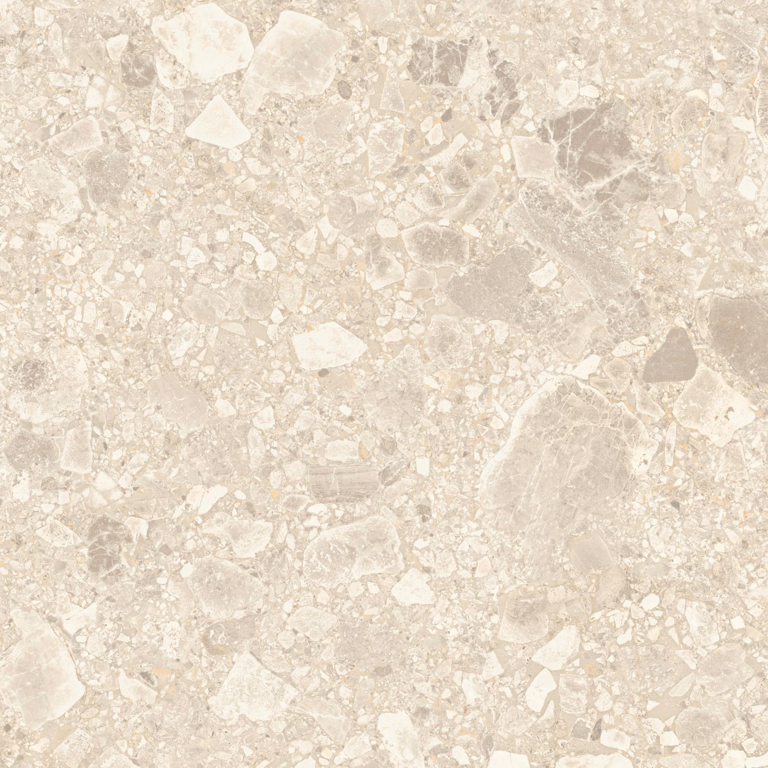 Studio Terrazzo Champagne Beige External Rectified P5