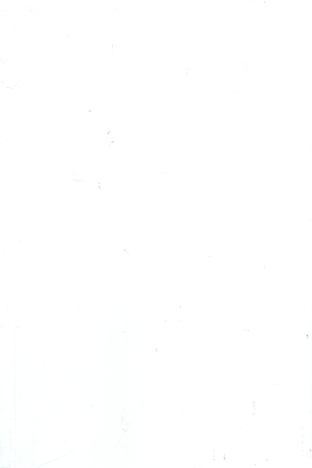(Og011) Byron Gloss White Walls