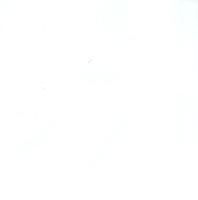 (Ok011Y) Laurieton Wavy Gloss White