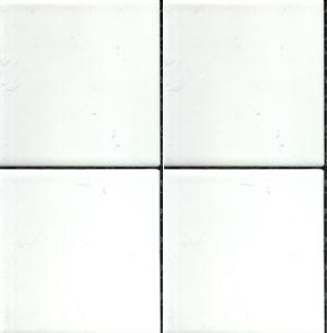 Palatino Gloss White 98.2X98.2